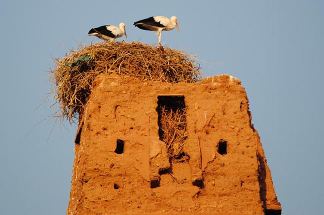 Appartement Anatim Ouarzazate Exteriör bild